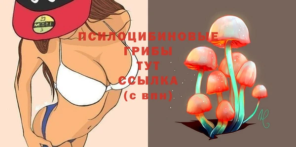 стафф Бородино